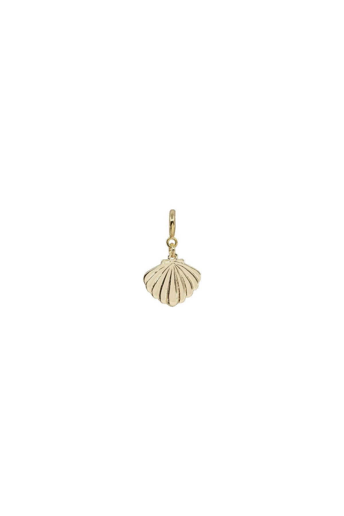 PECTEN - Midye Kabuğu Charm