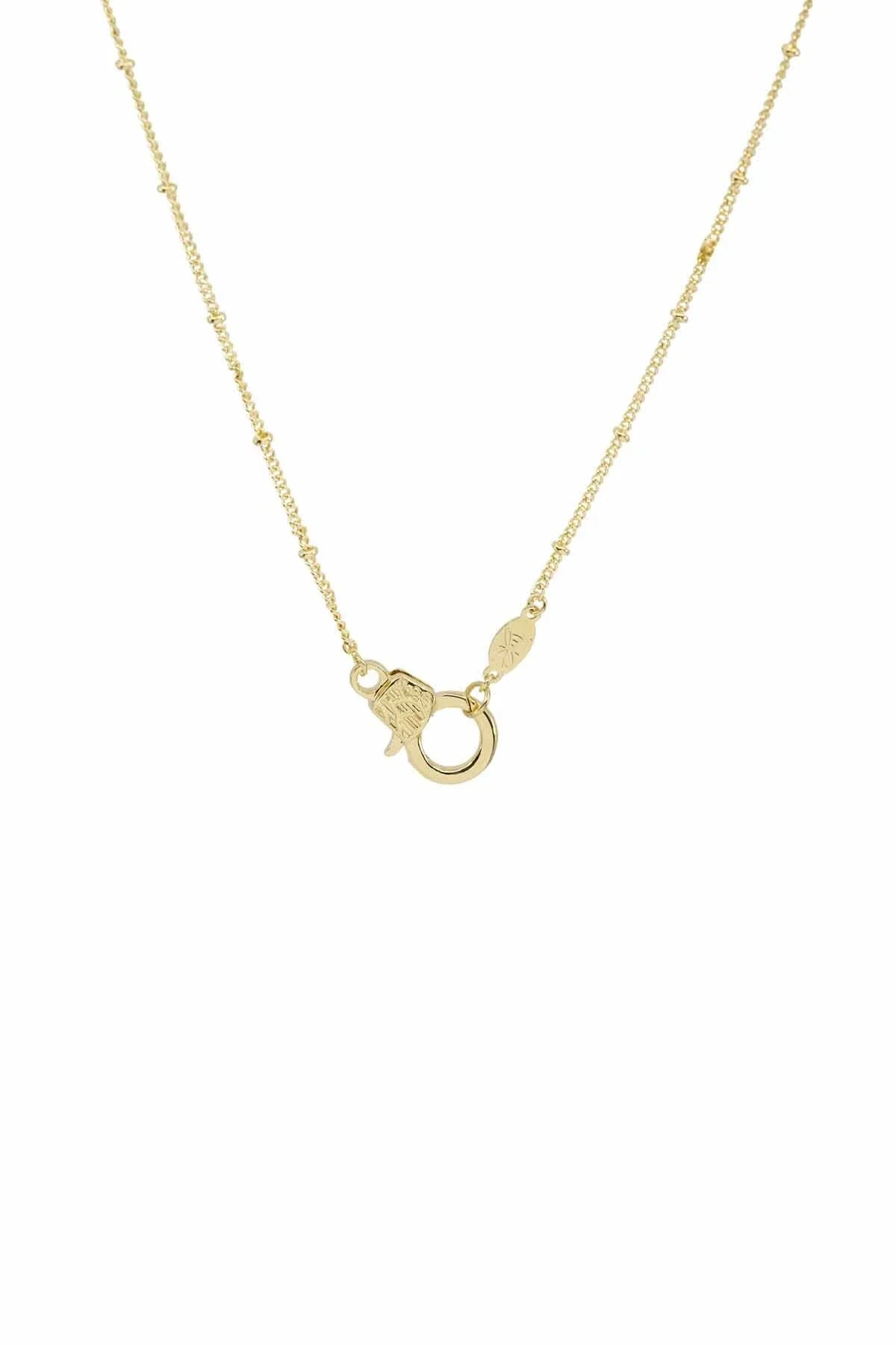 CUTIE LOBSTER - Satellite - Charm Kolyesi
