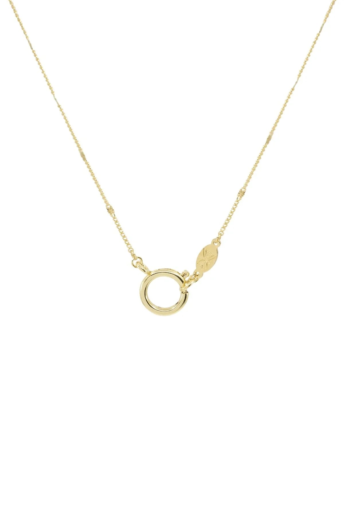 HOOP CLASP - Flat Curb - Zincir Kolye