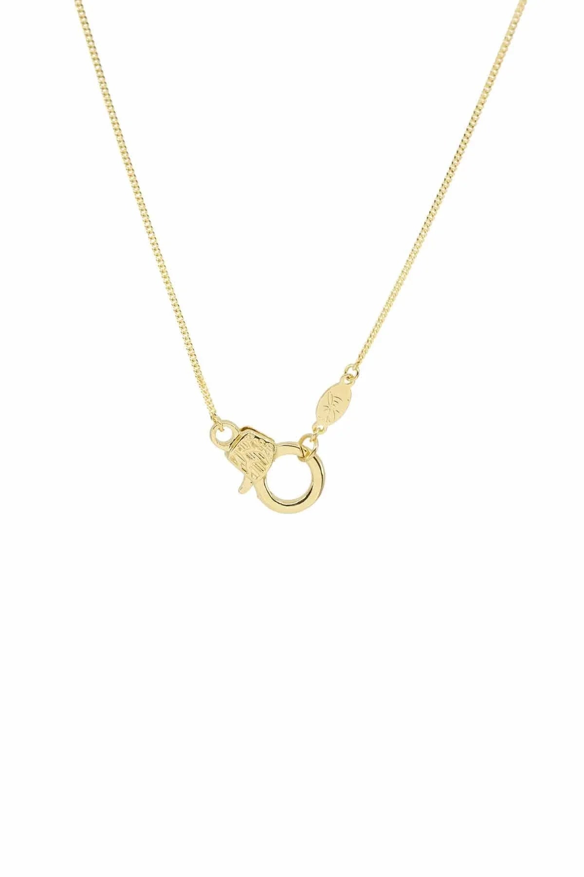 CUTIE LOBSTER - Curb - Charm Kolyesi