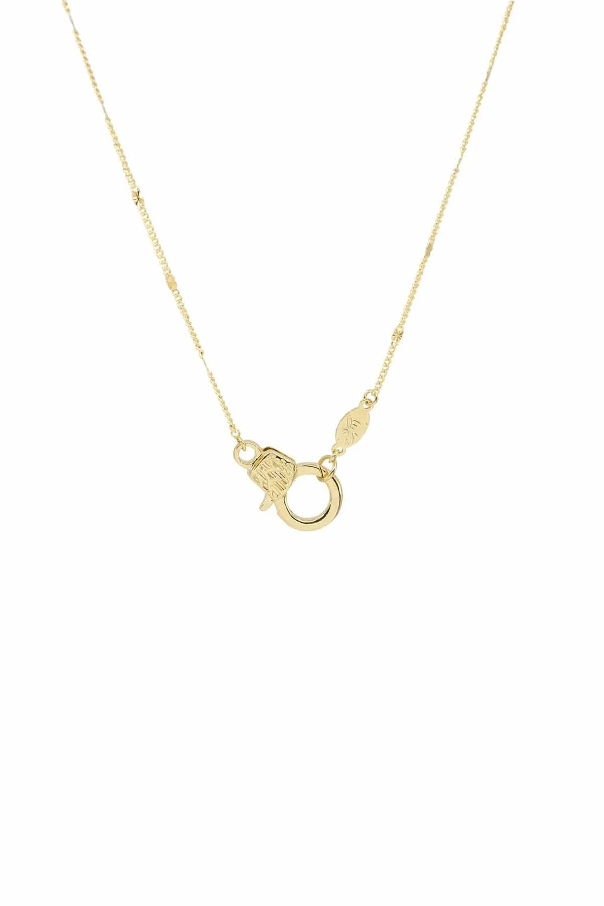 CUTIE LOBSTER - Flat Curb - Charm Kolyesi