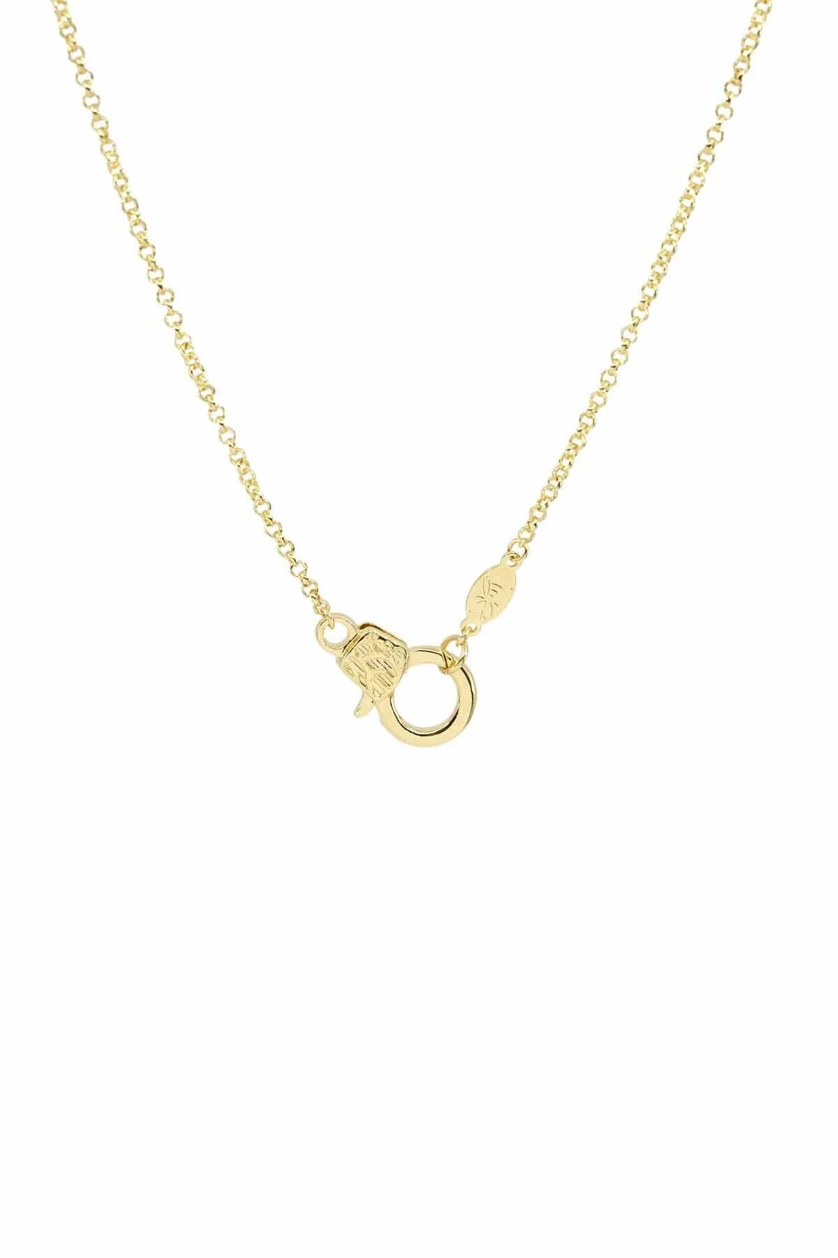 CUTIE LOBSTER - Rollo - Charm Kolyesi