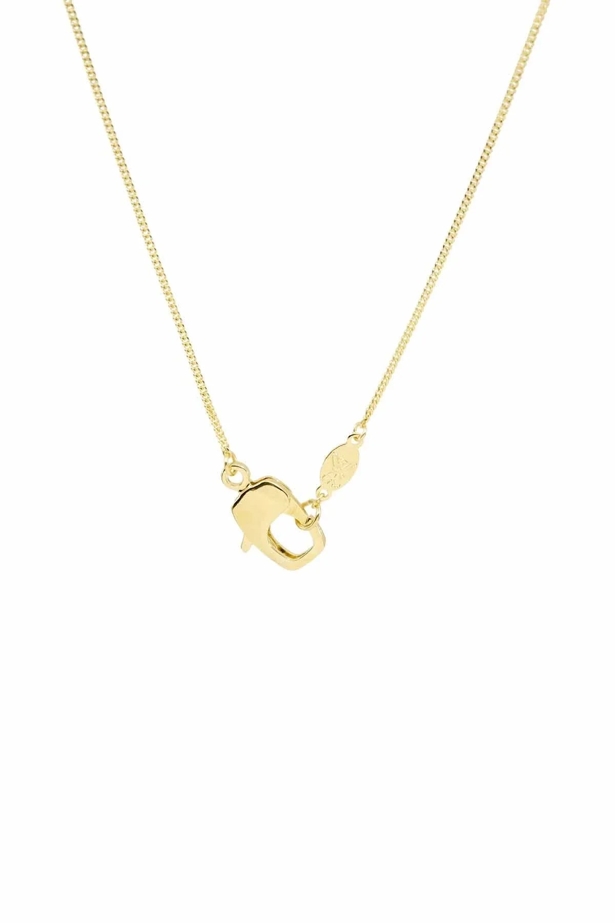 CLAW LOBSTER - Curb - Zincir Kolye
