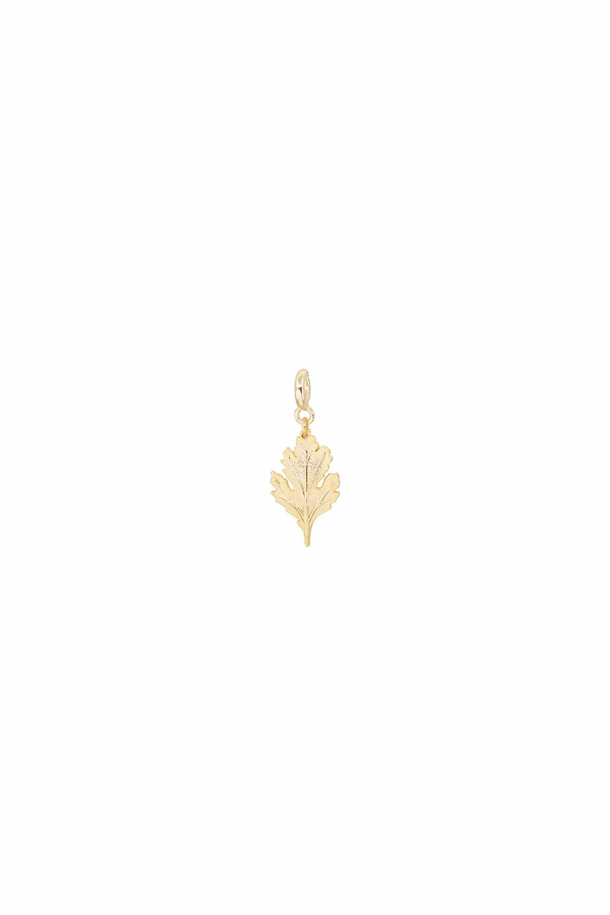 HIBISCUS - Yaprak Detaylı Charm